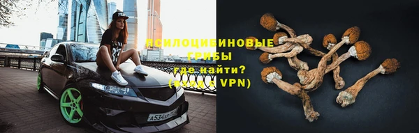 крисы Арсеньев