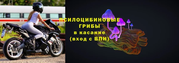 крисы Арсеньев