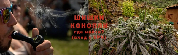 крисы Арсеньев