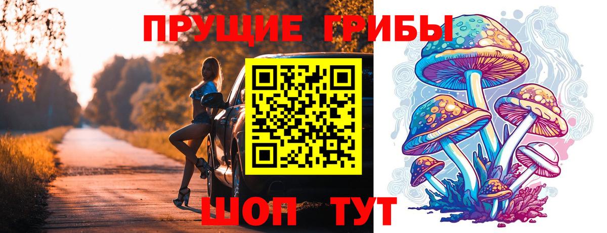 Белово  Галлюциногенные грибы Psilocybe  Вход с VPN 